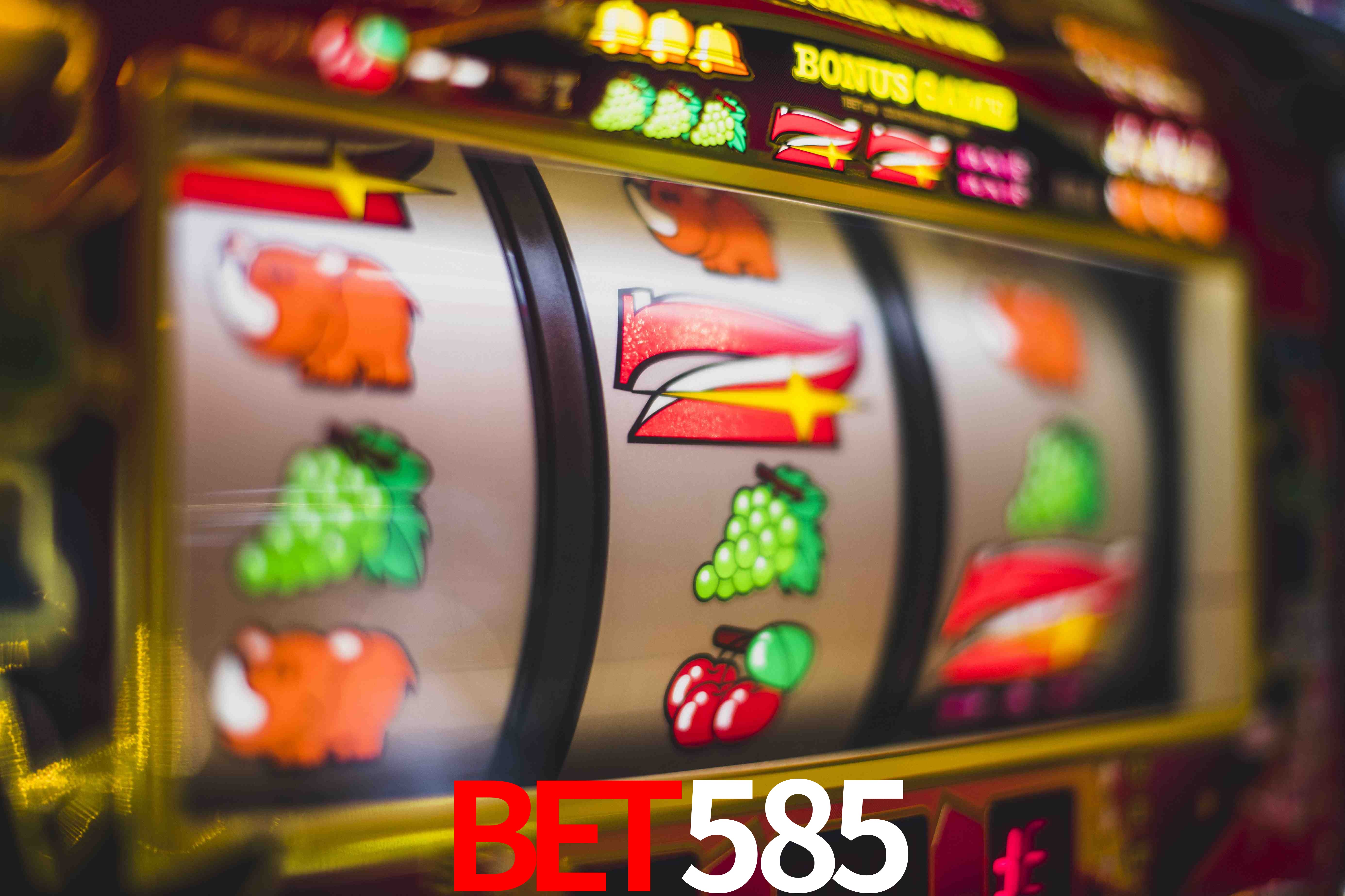 VIP Casino bet585